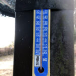 涅槃池前の気温