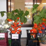 くりの物産館で花の購入