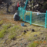 ホタル池周辺の柵の補修