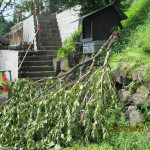 台風の影響を受けた境内の様子