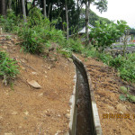排水溝の清掃