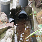 排水溝の確認