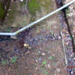 排水口、排水量の確認・清掃