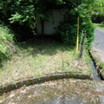 境内の様子(清掃前)