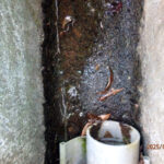 排水口、排水量の確認・清掃