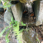 排水口、排水量の確認・清掃