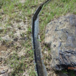 排水口、排水量の確認・清掃