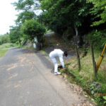 境内の様子(清掃中)