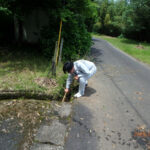 境内の様子(清掃中)