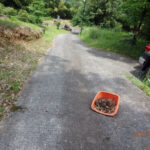 境内の様子(清掃後)