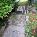 境内の様子(清掃後)