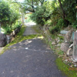 境内の様子(清掃後)