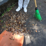 境内の様子(清掃中)