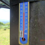 涅槃池前の気温