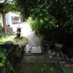 境内の様子(清掃後)