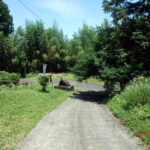 境内の様子(清掃後)