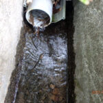 排水口、排水量の確認・清掃