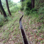 排水口、排水量の確認・清掃