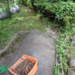 境内の様子(清掃中)