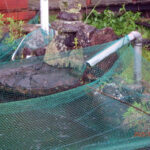 排水口、排水量の確認・清掃