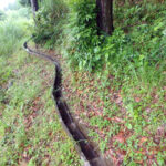 排水口、排水量の確認・清掃