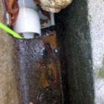 排水口、排水量の確認・清掃