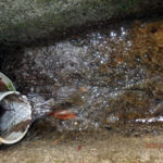 排水口、排水量の確認・清掃