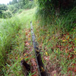 排水口、排水量の確認・清掃