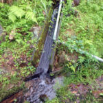 排水口、排水量の確認・清掃