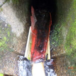 排水口、排水量の確認・清掃