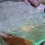 涅槃池の様子(鯉たちは元気です)