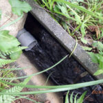 排水状況の確認と清掃