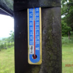 涅槃池前の気温