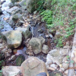 排水口、排水量の確認・清掃