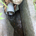 排水口、排水量の確認・清掃