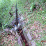 排水口、排水量の確認・清掃