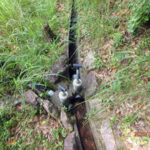 排水口、排水量の確認・清掃