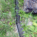 排水口、排水量の確認・清掃