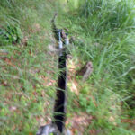 排水口、排水量の確認・清掃