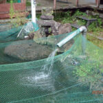 排水口、排水量の確認・清掃