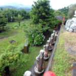 境内の様子(清掃前)