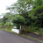 境内の様子(清掃後)