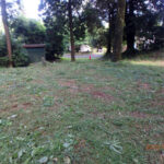 境内の様子(清掃後)