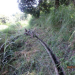 排水口、排水量の確認・清掃