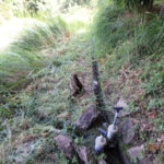 排水口、排水量の確認・清掃