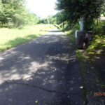 境内の様子(清掃後)