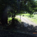 境内の様子(清掃後)