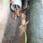 排水口、排水量の確認・清掃