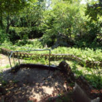 境内の様子(清掃前)