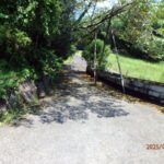 境内の様子(清掃前)